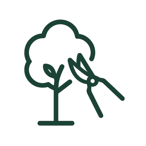 Precise pruning cut being made to encourage healthy tree growth